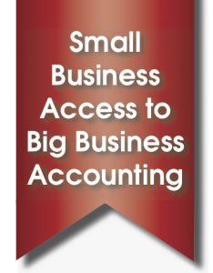 access small business accounting
